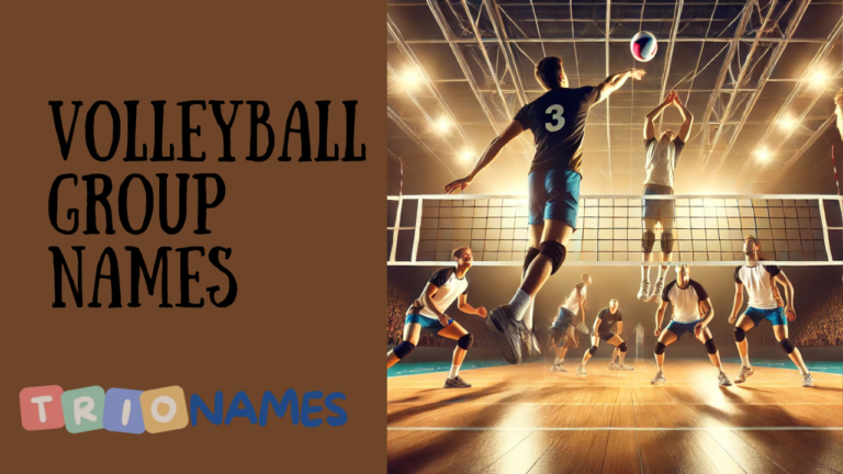 Volleyball Group Names